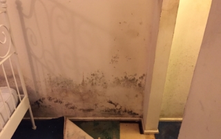 Mold and damp